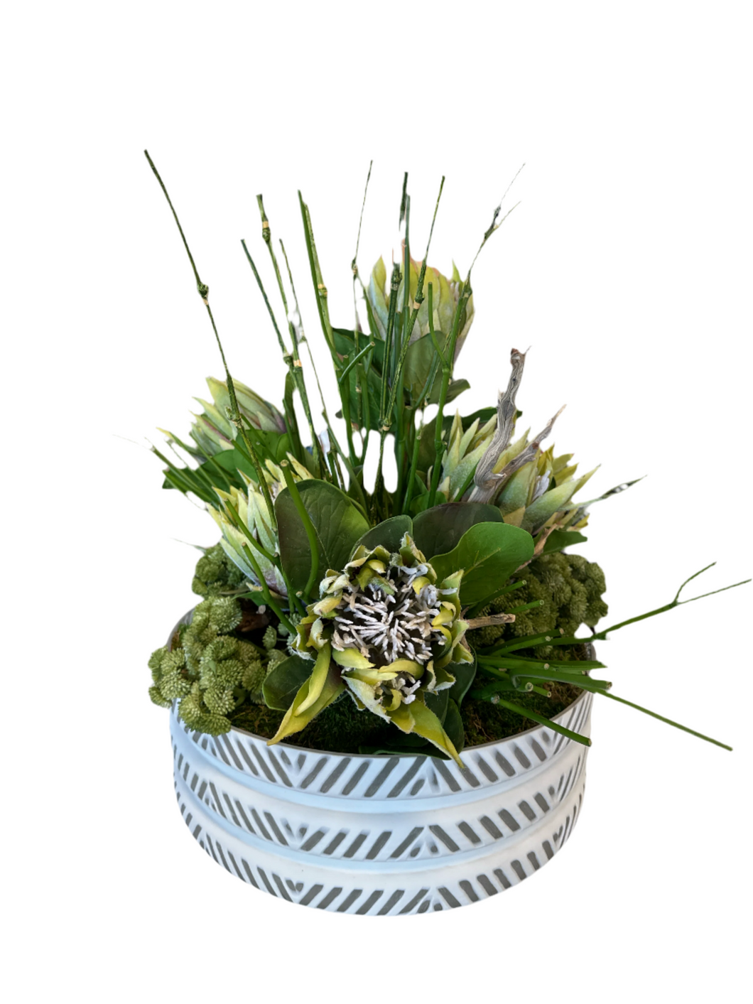 Portea Succulent Arrangement in White Herringbone Bowl