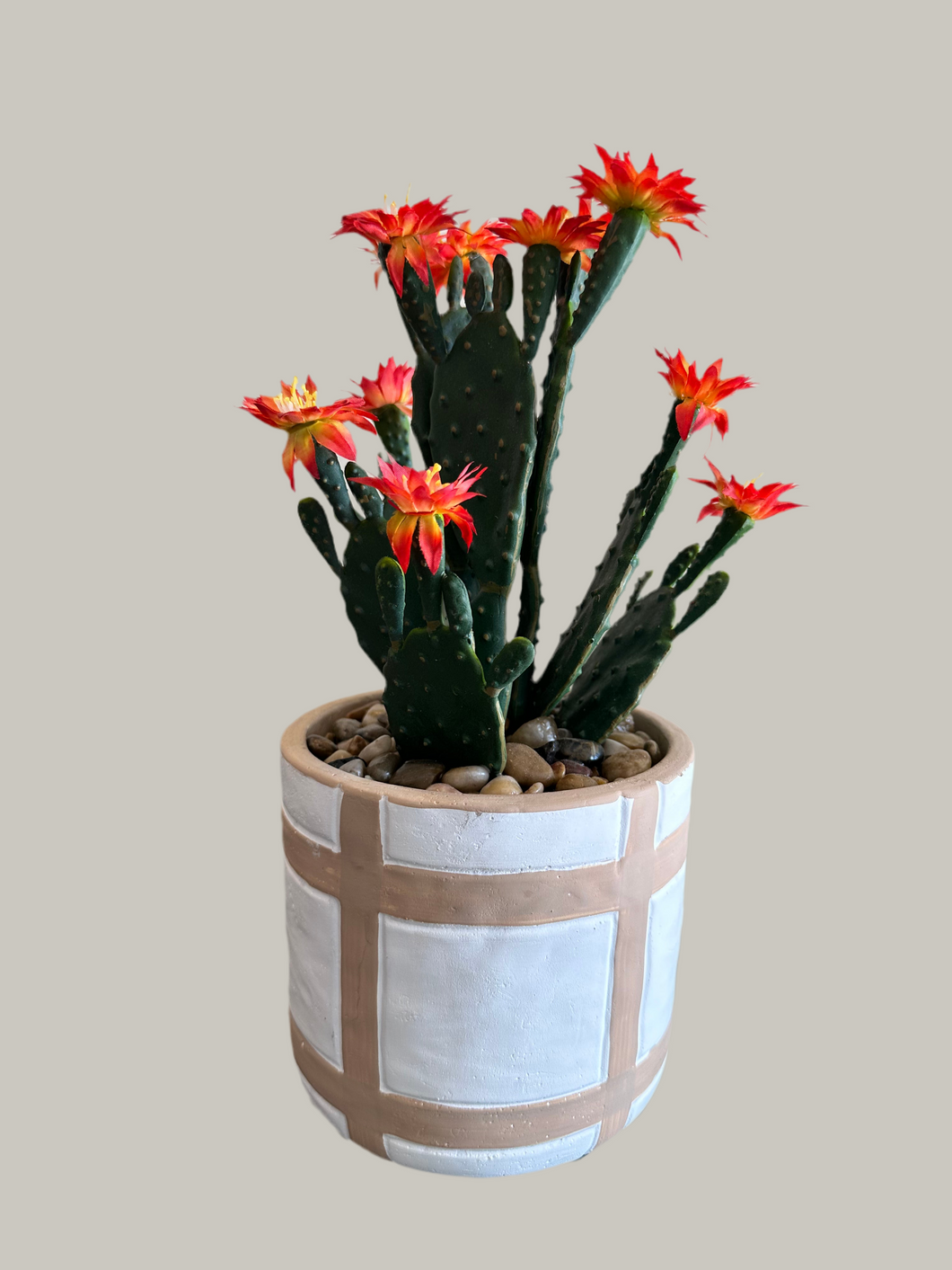 Beige Grid Pot & Flowering Cactus Arrangement