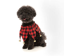 Load image into Gallery viewer, Fuzzyard Jester Pet Collar- S/M
