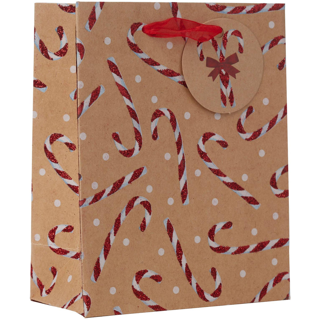 Candy Cane Gift Bag