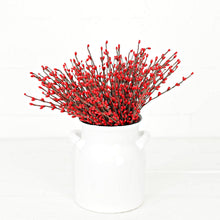 Load image into Gallery viewer, Pip Berry Pick 12" Collection
