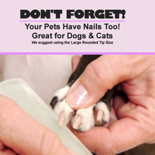 Load image into Gallery viewer, Spring Floral Crystal Nail File
