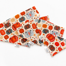 Load image into Gallery viewer, Pumpkin Pet Bandana Collection
