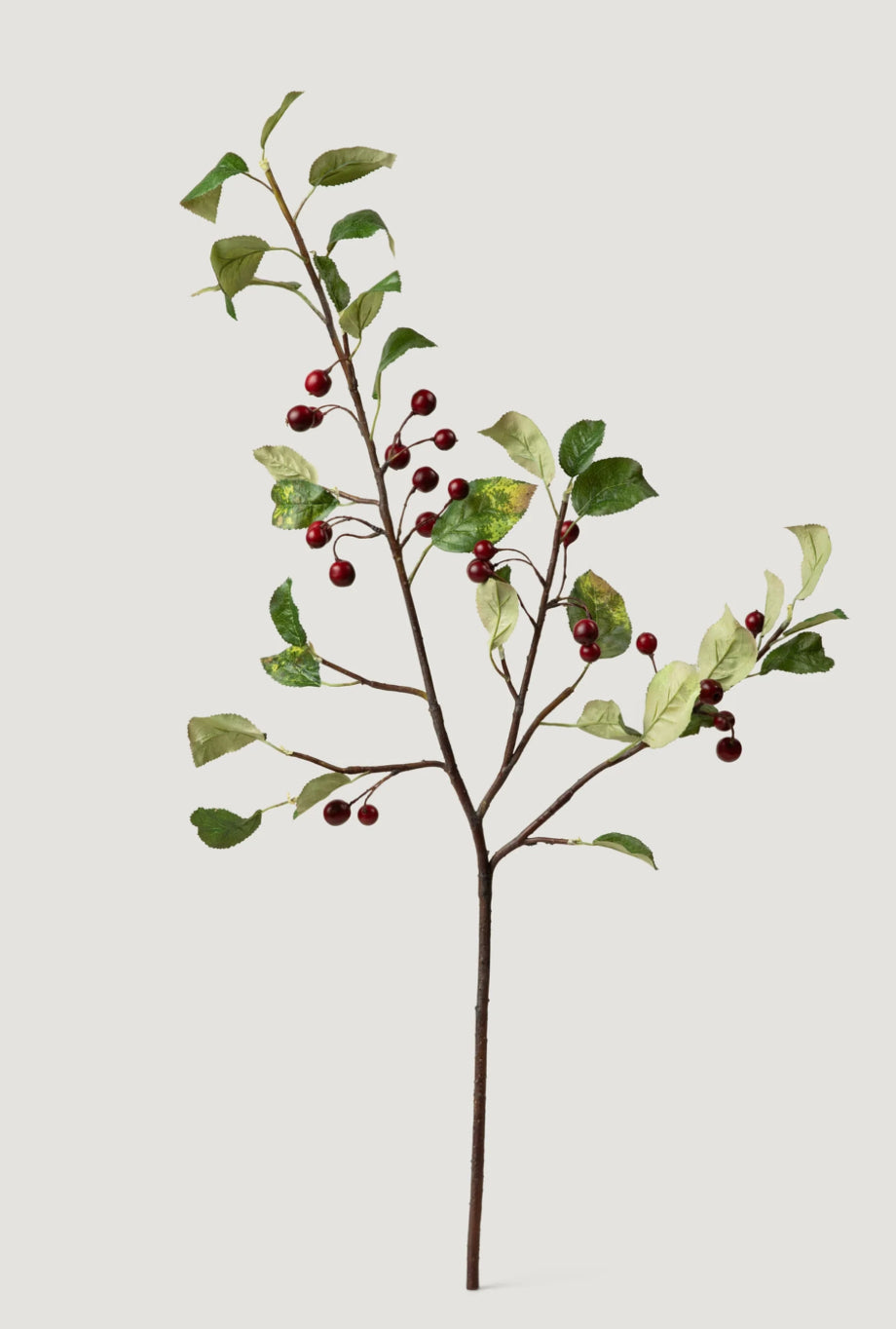 Cherry Blossom Stem