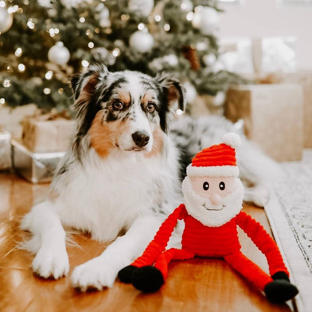 Holiday Crinkle Santa Dog Toy