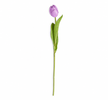 Load image into Gallery viewer, Faux Tulip Stem Collection
