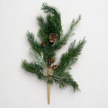 Load image into Gallery viewer, Iced Cedar &amp; Pinecone
