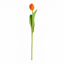 Load image into Gallery viewer, Faux Tulip Stem Collection
