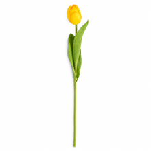 Load image into Gallery viewer, Faux Tulip Stem Collection

