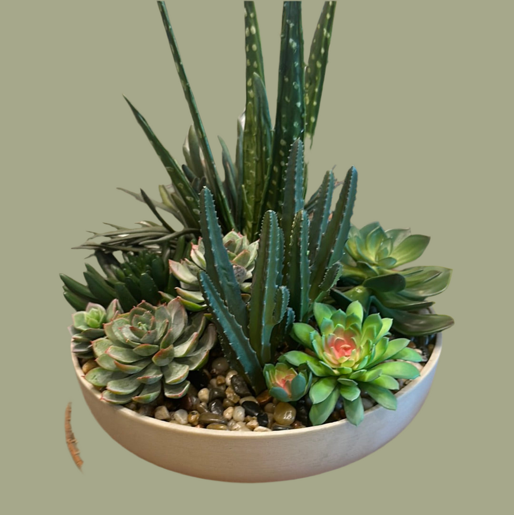 Modern Bowl & Aloe Succulent Arrangement