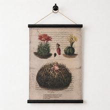 Load image into Gallery viewer, Textile Desert Print Collection
