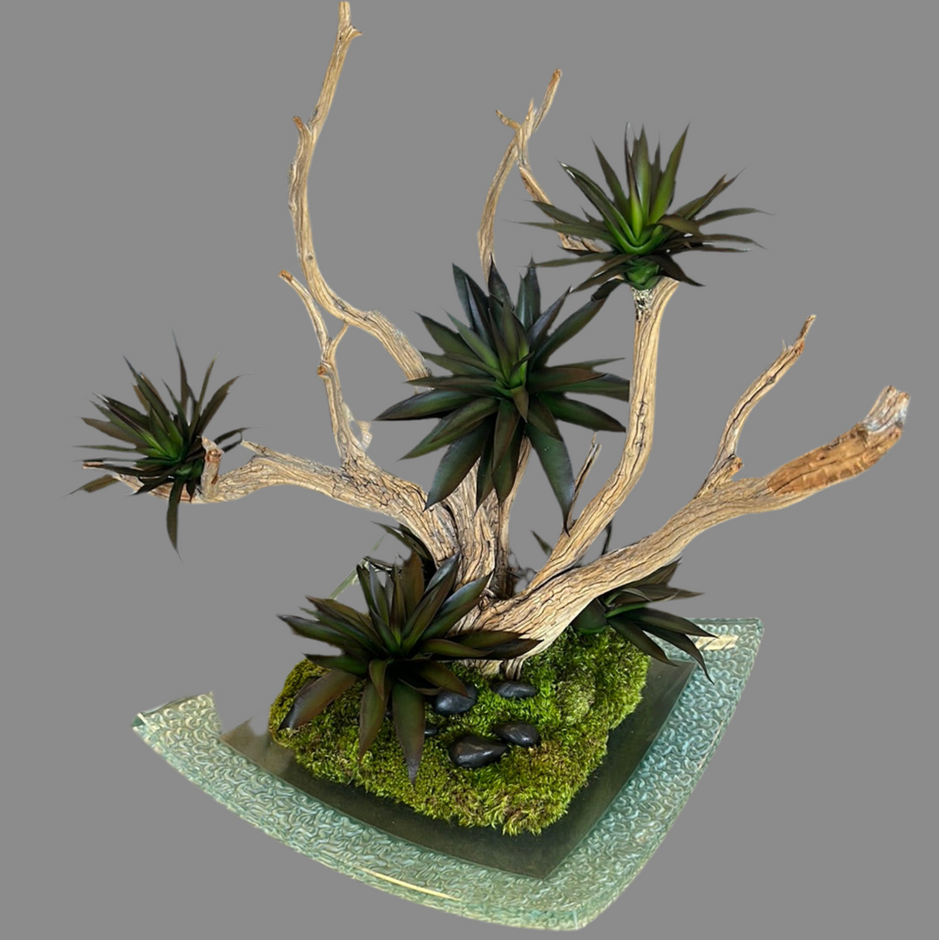 Wood Branch & Black Agave Moss on Crystal Tray