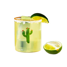 Load image into Gallery viewer, Hand-Blown Cactus Tumbler Glasses Set/4
