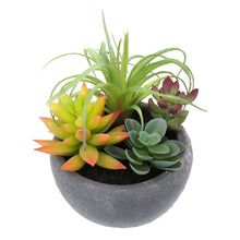 Load image into Gallery viewer, Mixed Succulent In Gray Pot
