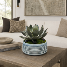 Load image into Gallery viewer, Custom Succulent in Blue Stacked Ring Bowl
