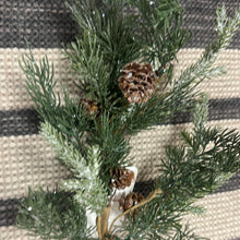 Load image into Gallery viewer, Iced Cedar &amp; Pinecone
