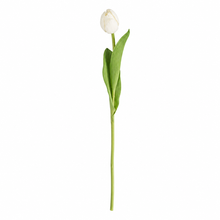 Load image into Gallery viewer, Faux Tulip Stem Collection
