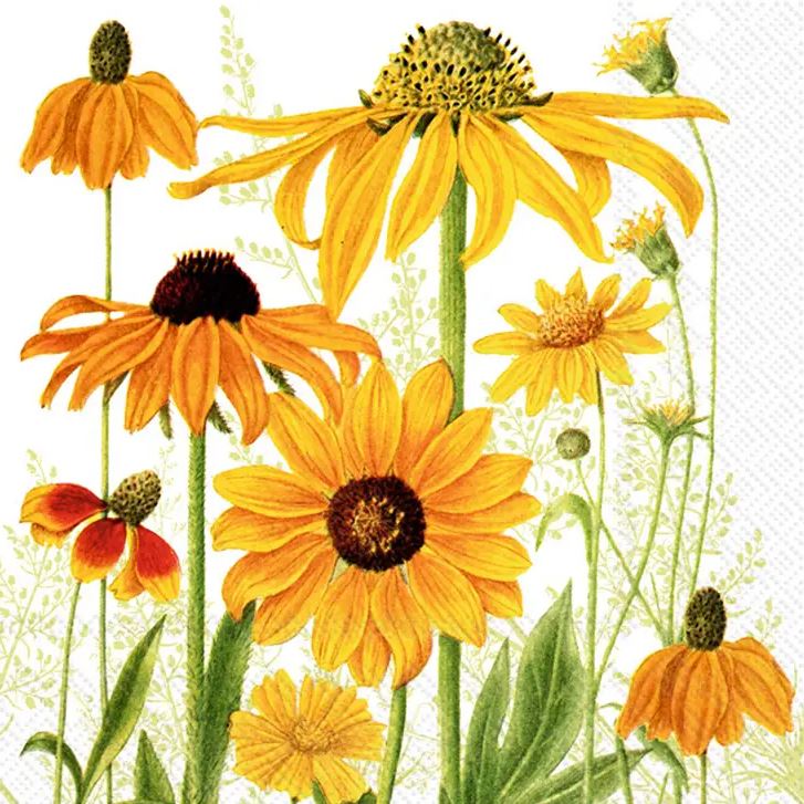 Sunflowers - Paper Cocktail Napkins 20 Count