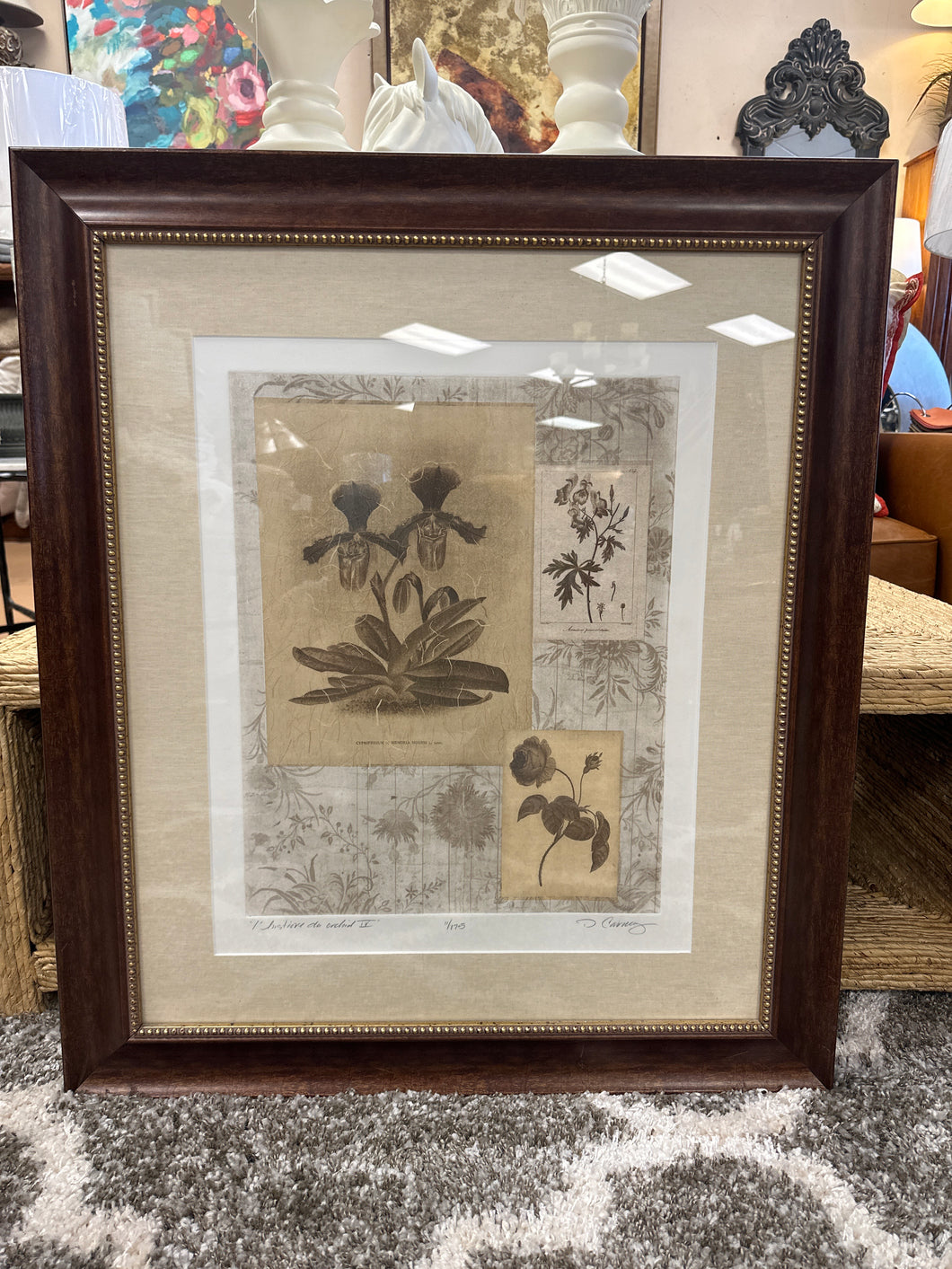 Brown Framed Botanical Artwork