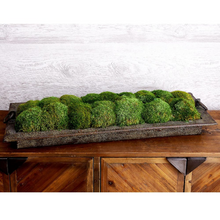 Load image into Gallery viewer, Preserved Moss on Textured Iron Tray

