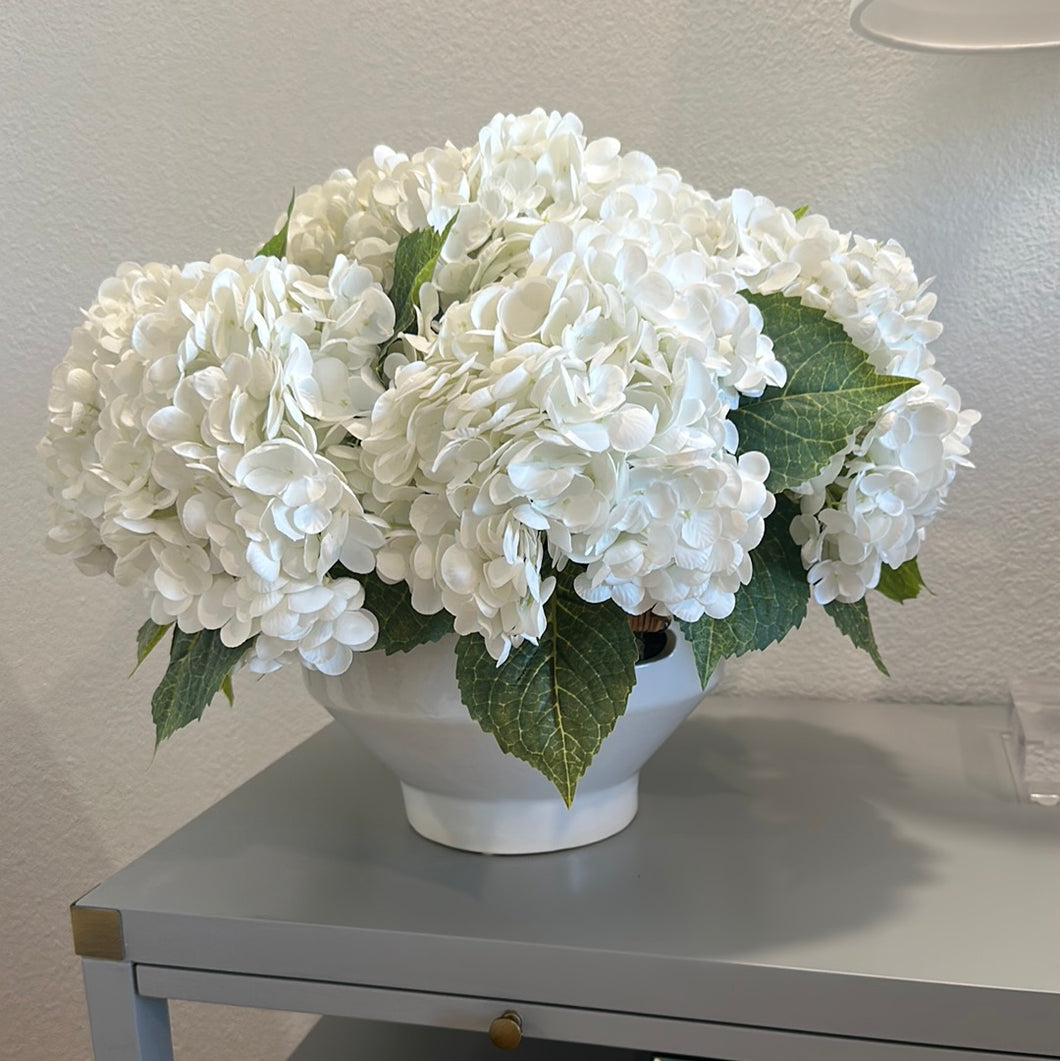 White Hydrangeas in White Pot