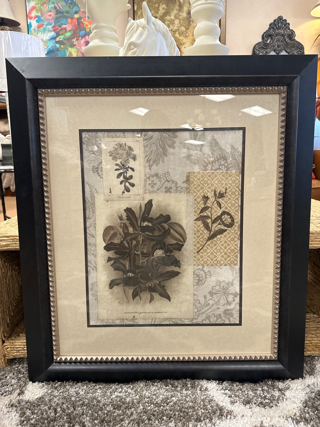 Black Framed Botanical Print