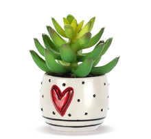 Load image into Gallery viewer, Dots &amp; Heart Mini Succulent
