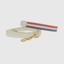 Load image into Gallery viewer, Pet Collar &amp; Leash Set Collection
