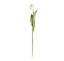 Load image into Gallery viewer, Faux Tulip Stem Collection
