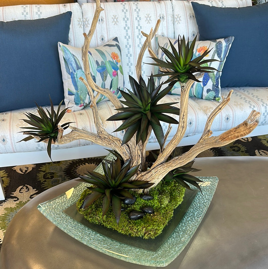 Wood Branch & Black Agave Moss on Crystal Tray