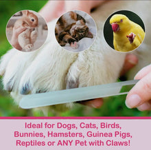 Load image into Gallery viewer, Cactus Oasis Crystal Nail File
