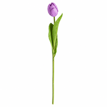 Load image into Gallery viewer, Faux Tulip Stem Collection
