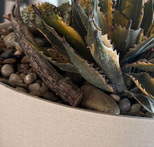 Load image into Gallery viewer, Low Bowl &amp; Cactus Garden Arrangement
