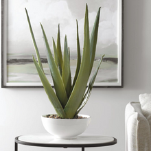 Load image into Gallery viewer, Faux Aloe Plant

