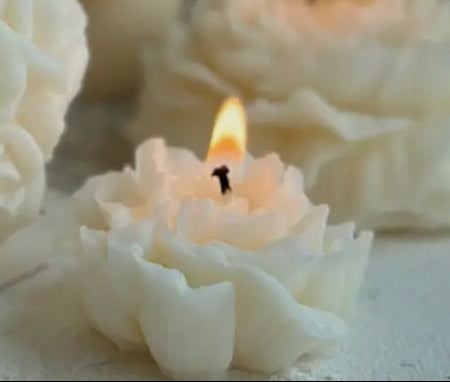 Aesthetic Candle Collection