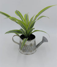 Load image into Gallery viewer, Whitewash Watering Can/Planter
