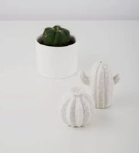 Load image into Gallery viewer, Cactus Salt &amp; Pepper Shaker
