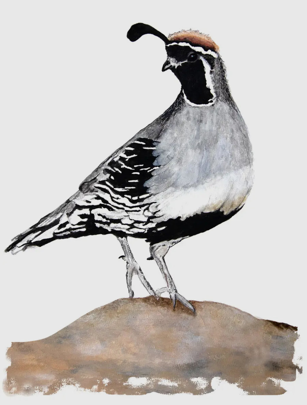 Carefree Quail Bird Kitchen Towel