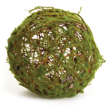 Load image into Gallery viewer, Moss Wrapped Orb Collection
