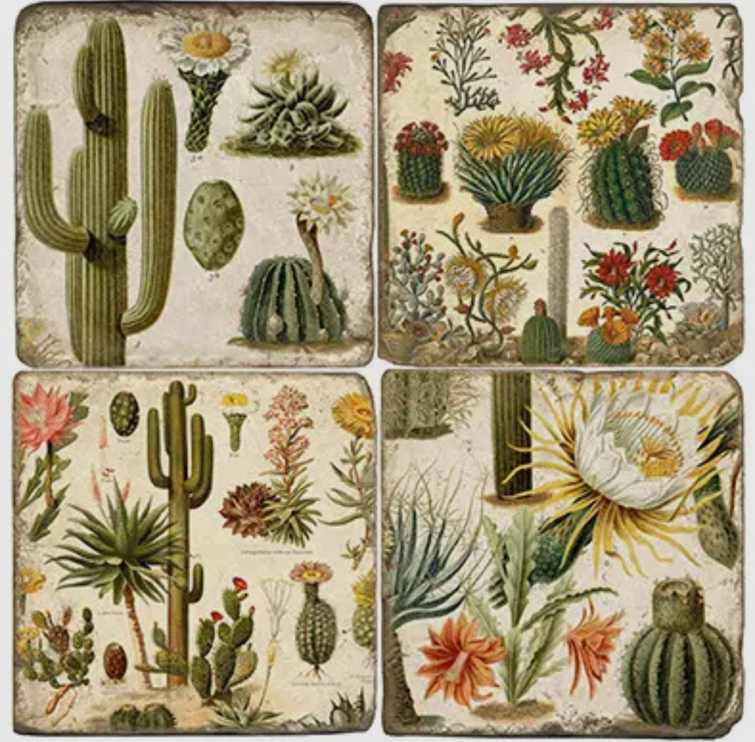 Tumbled Marble Cactus Botanical Coasters Set/4