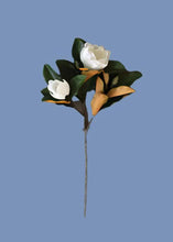 Load image into Gallery viewer, Faux Magnolia Flower Stem
