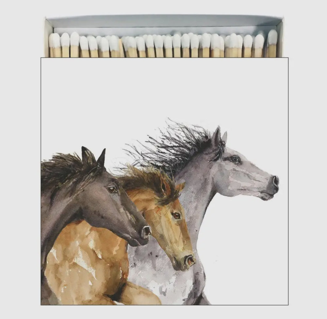 Horse Matches 60/Box with White Tips