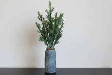 Load image into Gallery viewer, Cacti In Textured Vase
