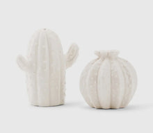 Load image into Gallery viewer, Cactus Salt &amp; Pepper Shaker
