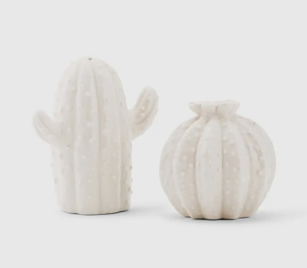 Cactus Salt & Pepper Shaker