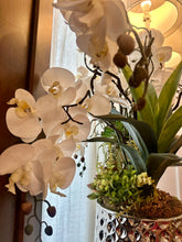 Load image into Gallery viewer, Custom Large Vase Orchid Arrangement S/2
