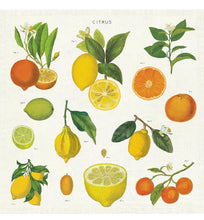 Load image into Gallery viewer, Citrus Cloth Napkin Set
