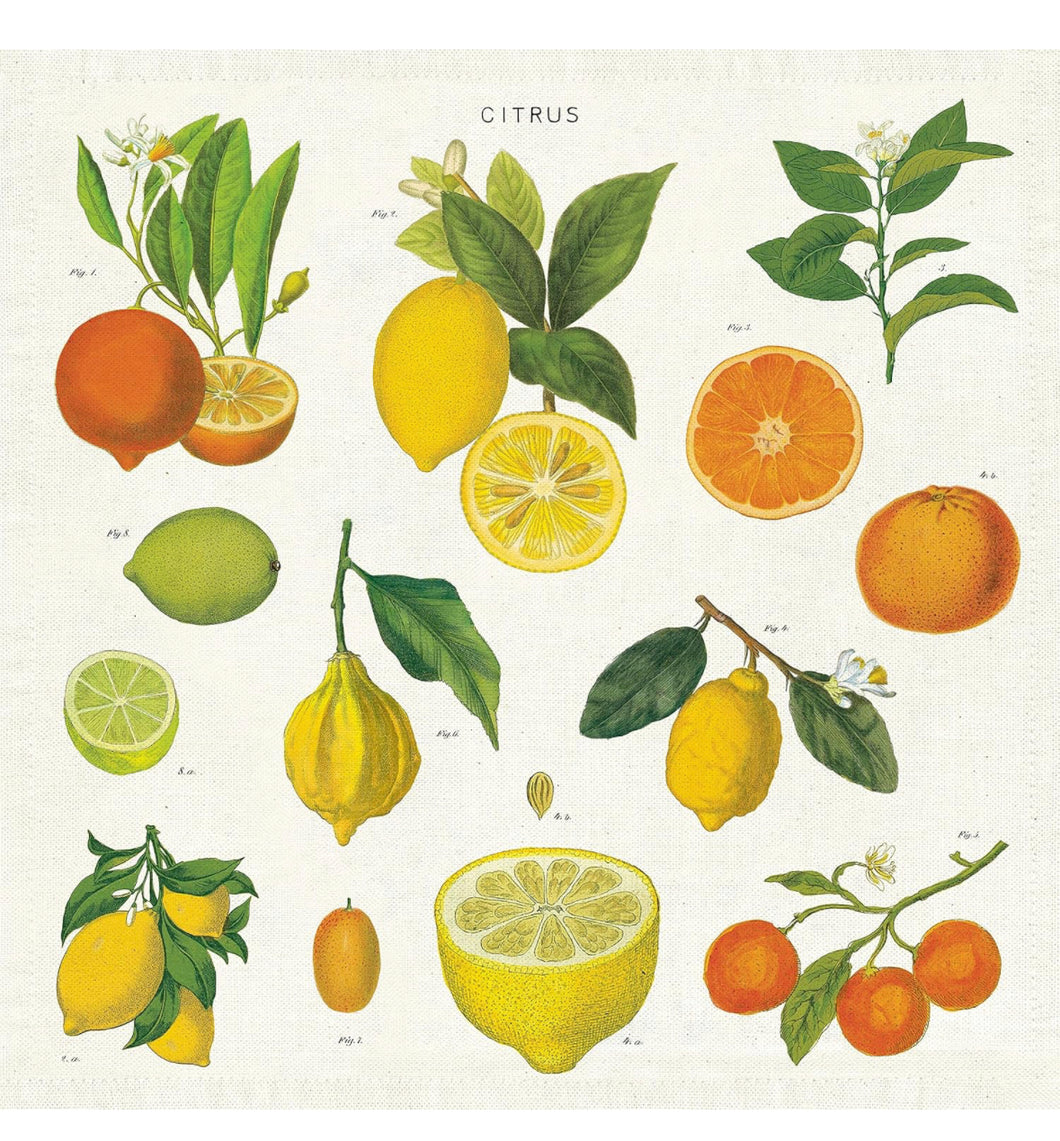 Citrus Cloth Napkin Set