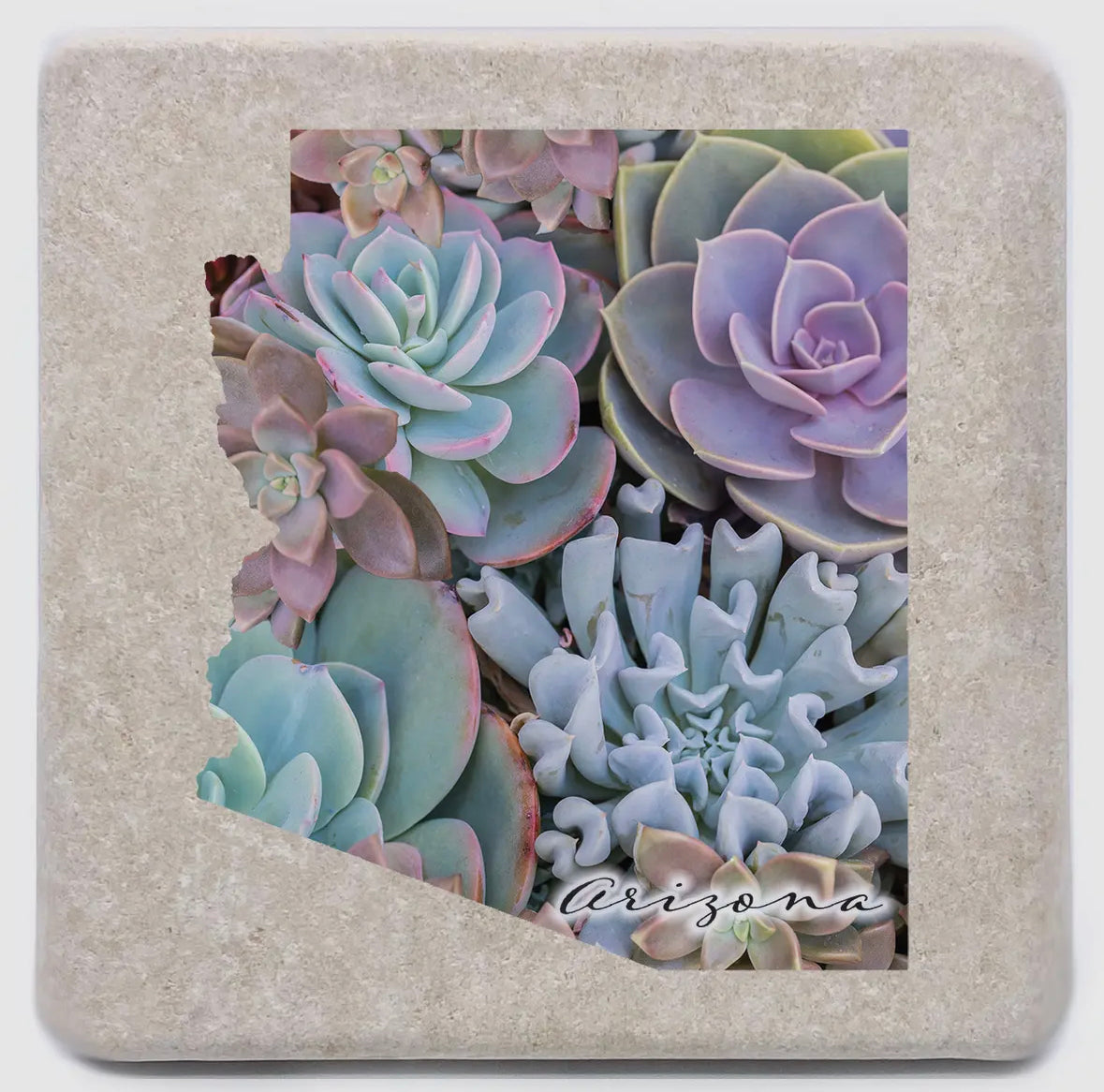 Arizona Succulents Coaster – Distinctive Interiors and Design