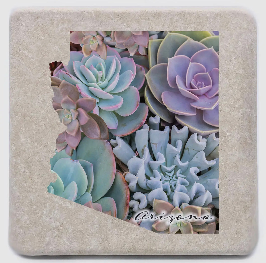 Arizona Succulents Coaster